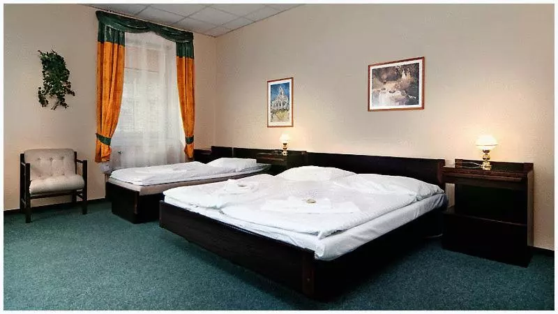 Standard Kolmen Hengen Huone, Omega Brno