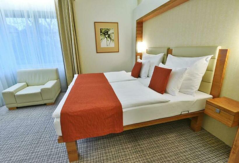 Классический Номер, St. Joseph Royal Regent