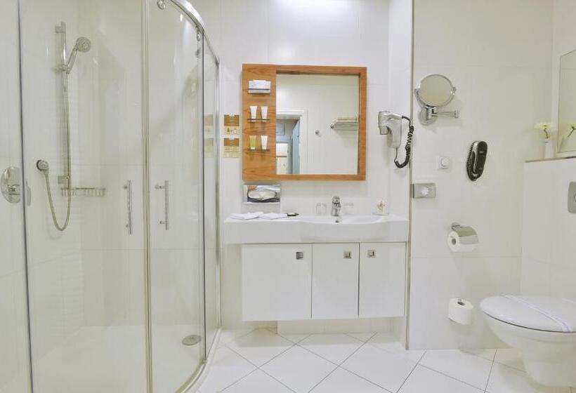 Номер Superior, St. Joseph Royal Regent