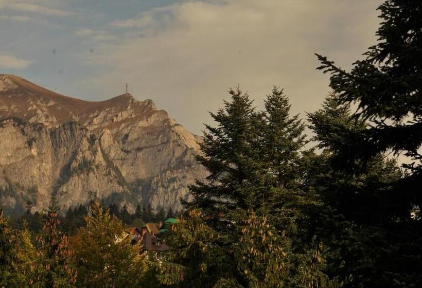 Люкс, Vila Arizto