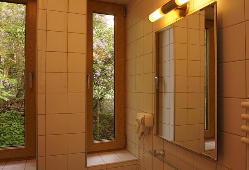 Люкс, Vila Arizto