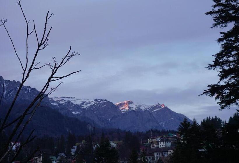 Люкс, Vila Arizto