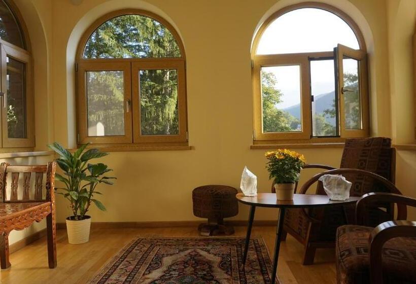 Люкс, Vila Arizto