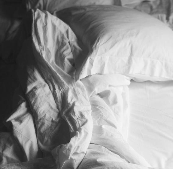 １ベッドルームアパートメント, Villan