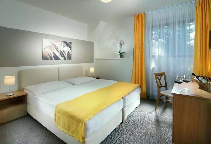 Standard-huone, Vz Bedřichov