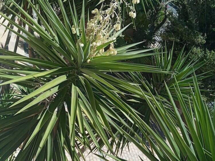 اتاق لوکس, La Roche Guest House