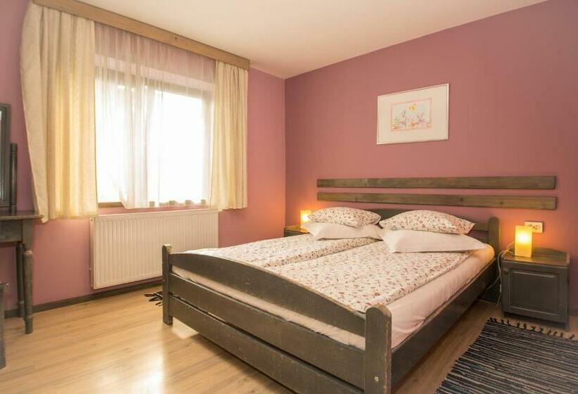 غرفة قياسية, Pensiunea La Despani