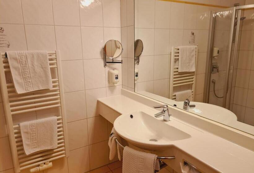 스탠다드 싱글 룸, Wirt Im Feld