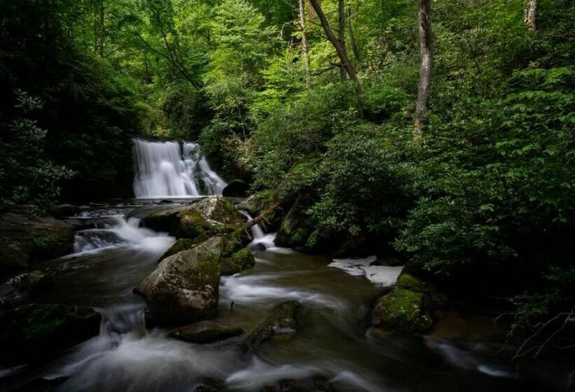 오두막, Dragon S Nest Mountain View