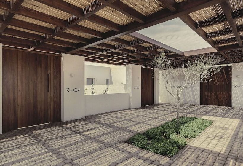 جناح مطلّ علي البحر, Meraviglia Slow Living