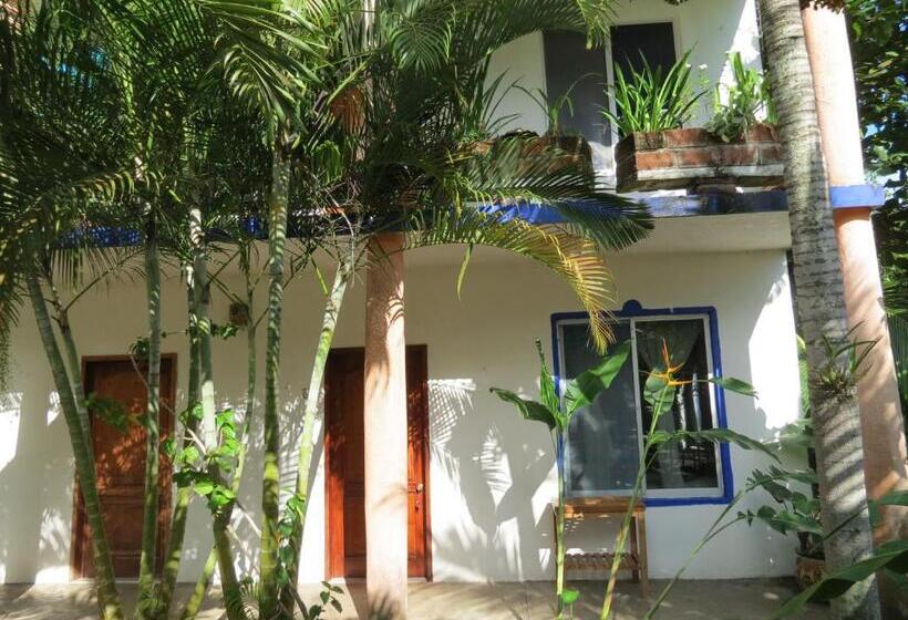 חדר משפחתי, Eco Coco Loco By Rotamundos