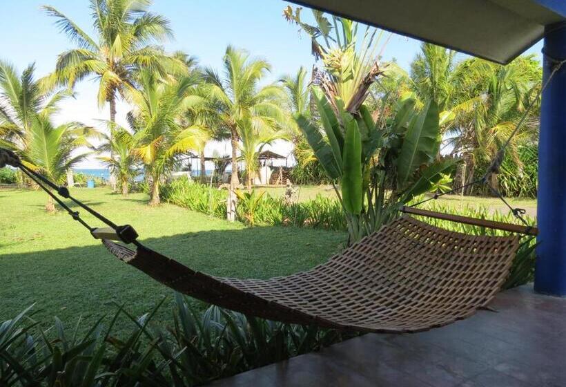 בית, 2 חדרי שינה, Eco Coco Loco By Rotamundos