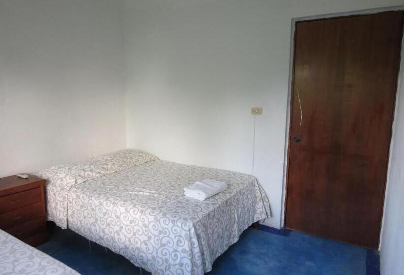 חדר משפחתי, Eco Coco Loco By Rotamundos