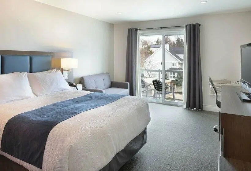 景色の見えるダブルベッドスタンダードルーム, Picton Harbour Inn