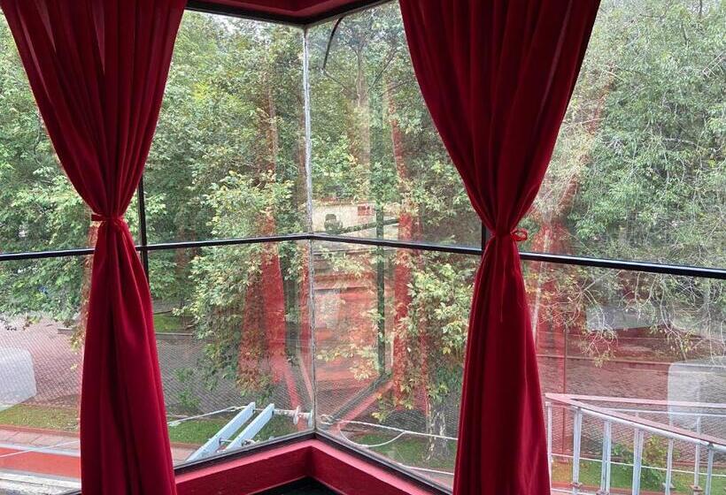 חדר סטנדרט שתי מיטות זוגיות, Alameda