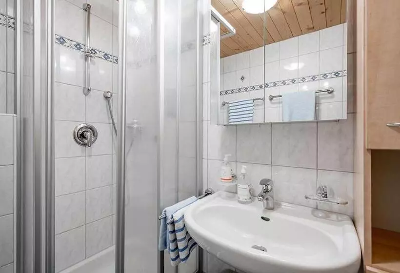 １ベッドルームのスーペリアアパートメント, Appartement Breitlehn