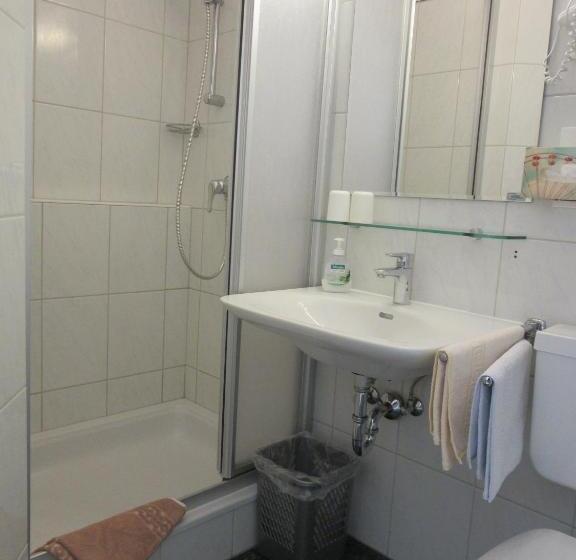 חדר סטנדרט נוף להרים, Waldpension Mück