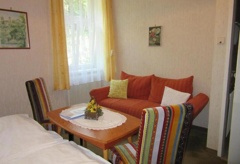 חדר סטנדרט נוף להרים, Waldpension Mück