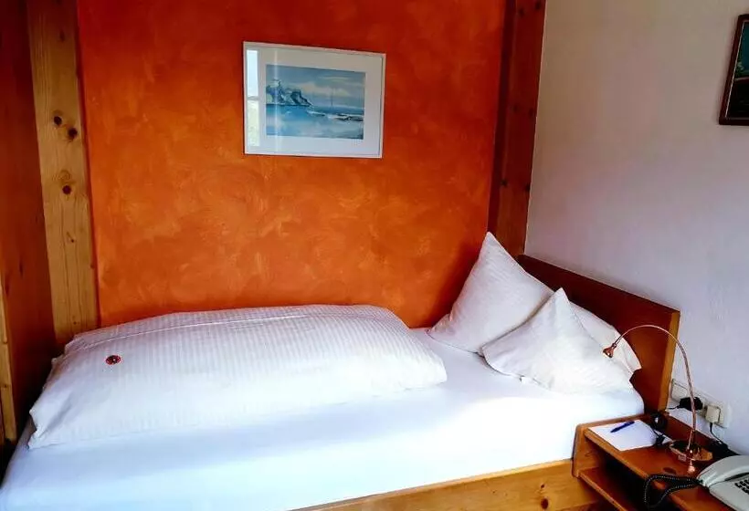 Habitación Estàndard Individual, Alpin