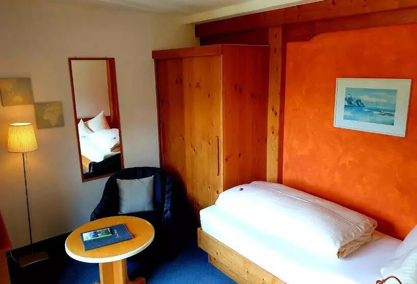 Habitación Estàndard Individual, Alpin