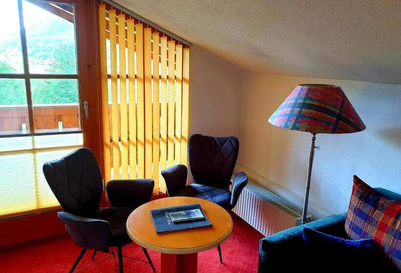 Номер Стандарт с Балконом, Alpin