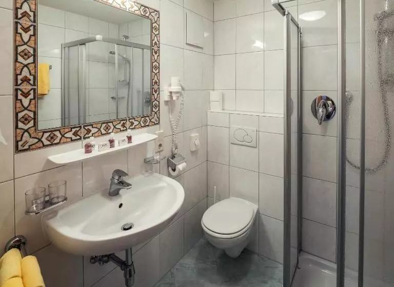 Standard Yhden Hengen Huone, Edelweiss Superior