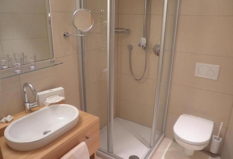 스탠다드 룸, Gasthof Zum Goldenen Löwen