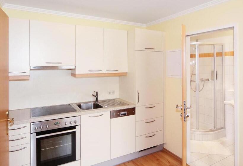 Апартаменты 1 Спальня, Goldener Adler