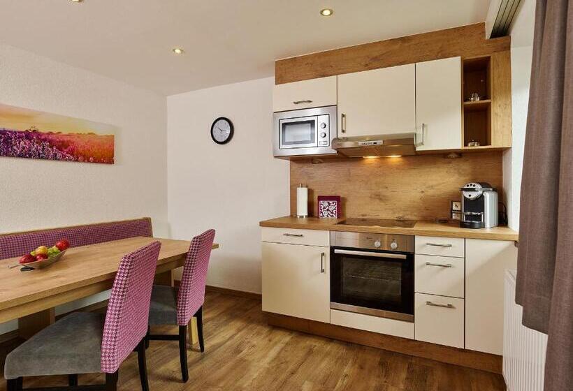 דירת חדר, Grünwald Resort Sölden