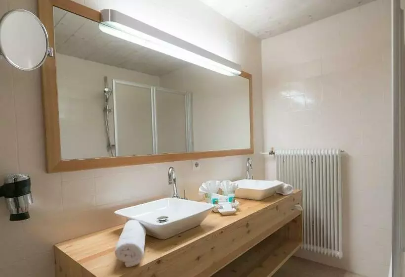اتاق استاندارد, Wellnesshotel Mein Almhof Superior