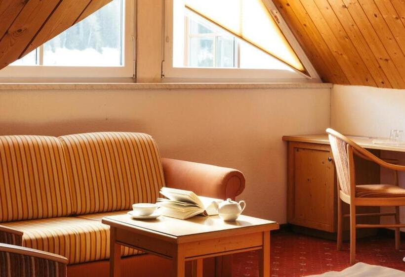 컴포트 룸, Nassereinerhof