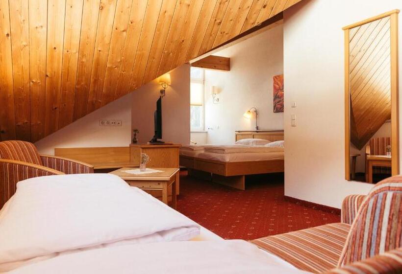 Номер Комфорт, Nassereinerhof