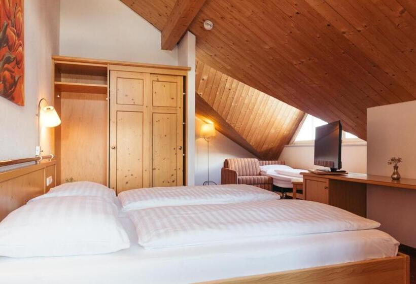 컴포트 룸, Nassereinerhof