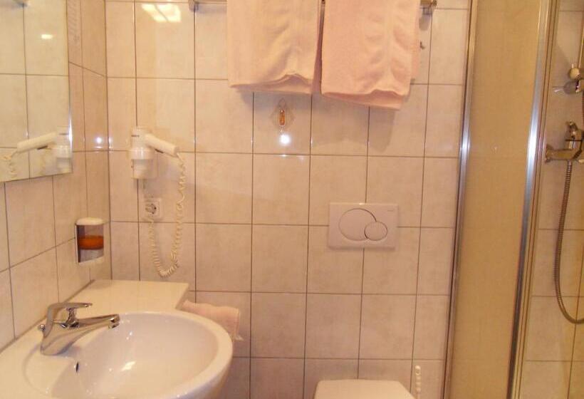 스탠다드 싱글 룸, Nassereinerhof