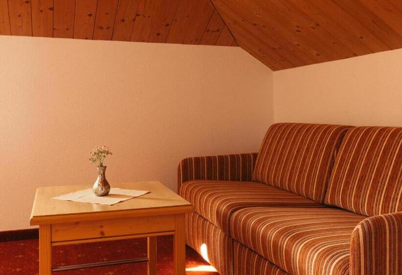 패밀리 룸 산 전망, Nassereinerhof