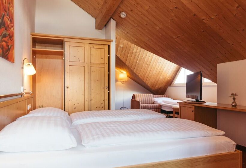 컴포트 룸, Nassereinerhof