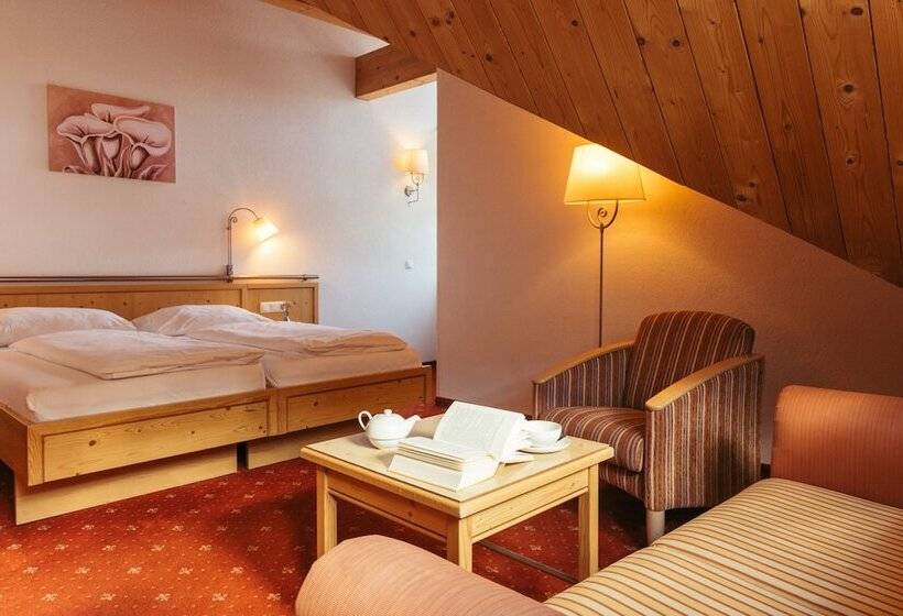 Номер Комфорт, Nassereinerhof