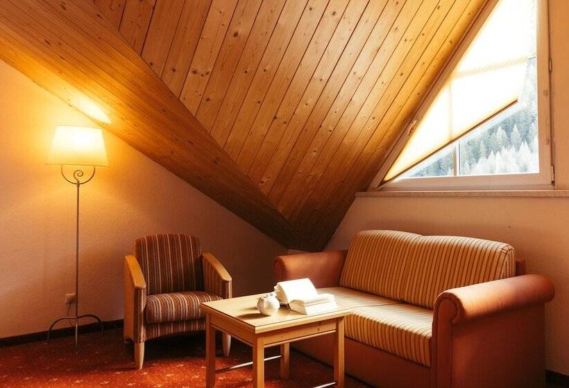 컴포트 룸, Nassereinerhof