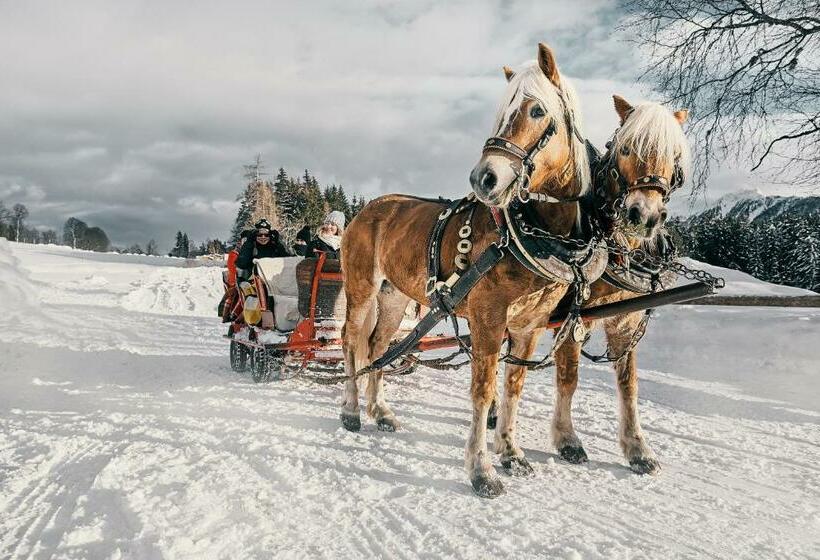 חדר סטנדרט נוף להרים, Stockerwirt