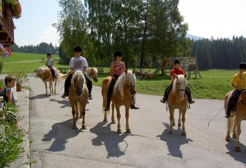 חדר קומפורט, Stockerwirt