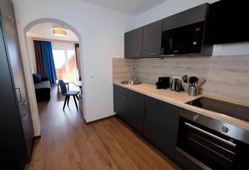 آپارتمان 1 خوابه با چشمانداز, Aktiv Hotel Karnia