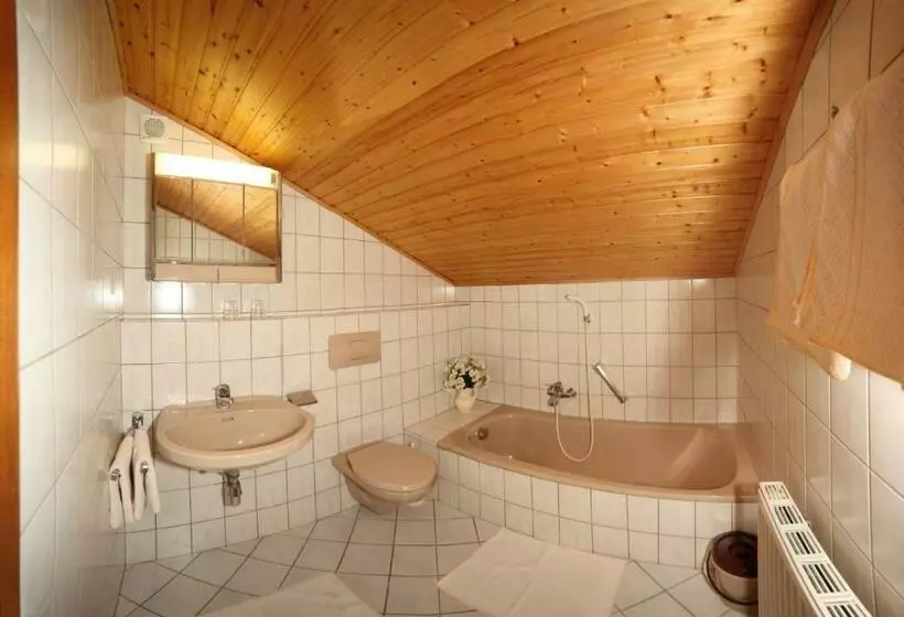 バルコニー付きスタンダードルーム, Pension Salzburger Hof