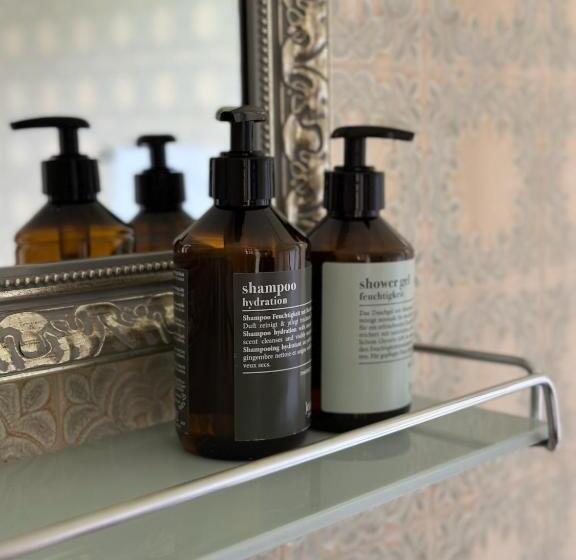 חדר קומפורט, Villa Parkschlössl