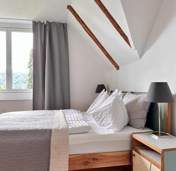 חדר סטנדרט נוף לאגם, Villa Parkschlössl