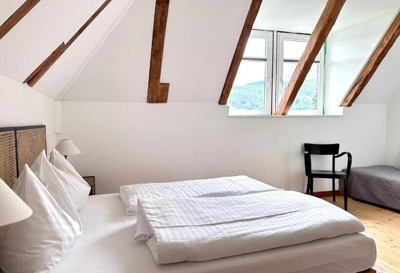 חדר סטנדרט נוף לאגם, Villa Parkschlössl