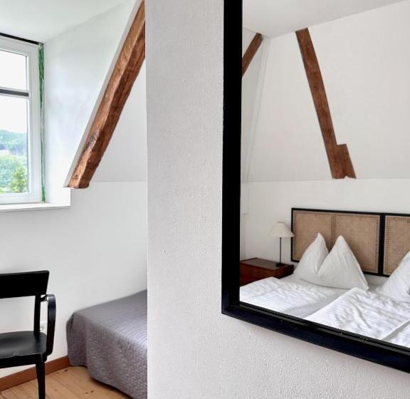 חדר סטנדרט נוף לאגם, Villa Parkschlössl