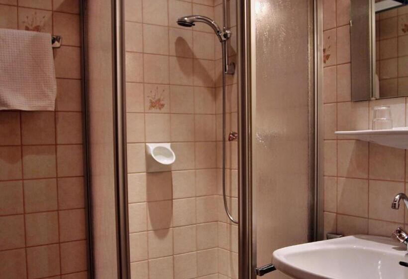 غرفة قياسية, Landhotel Kaserer