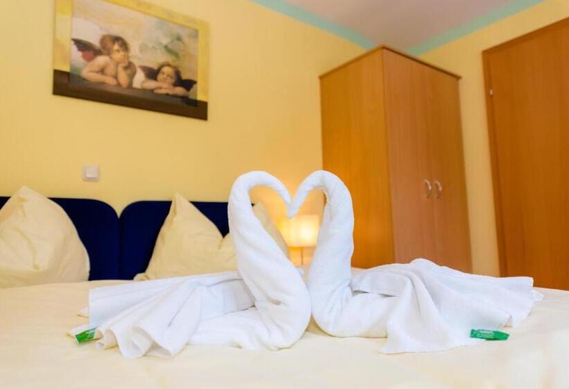 Номер Стандарт с Террасой, 1a Hotel Steiner
