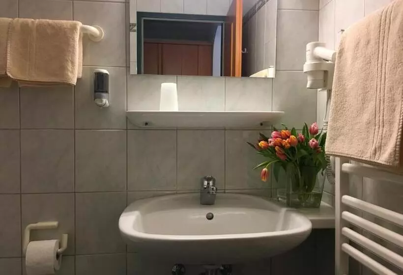 Standard-huone, Gasthof Botenwirt