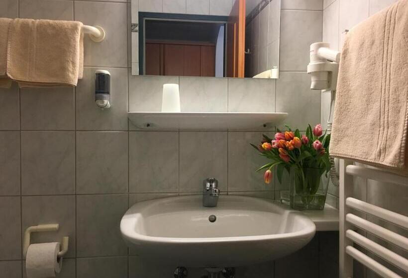 Номер Стандарт Индивидуальный, Gasthof Botenwirt